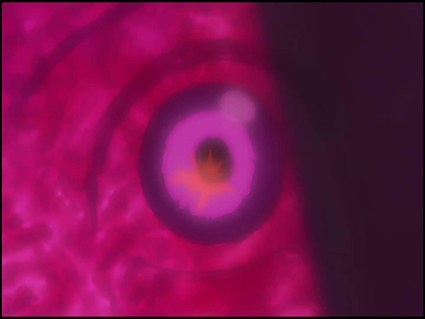 [Tsukyio Editing Resources] FLCL (Episode 2) Raw Clips (249) (tsukyio.com).mp4